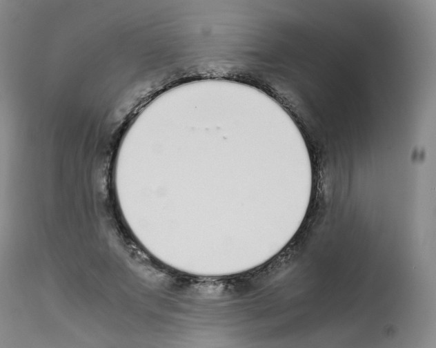 X0000111780687200909031134