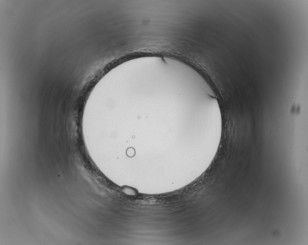 X0000111780688200909031134