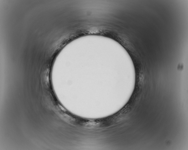 X0000111780691200909031134