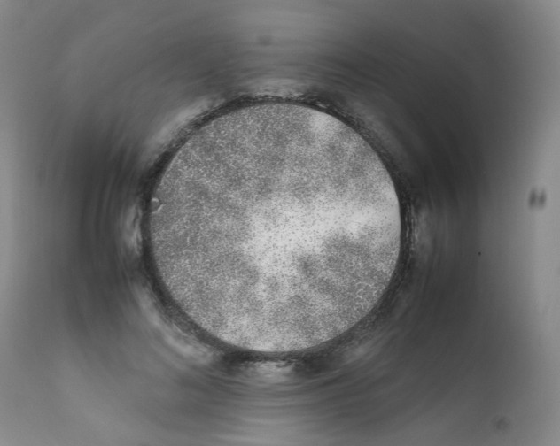 X0000111780692200909031134
