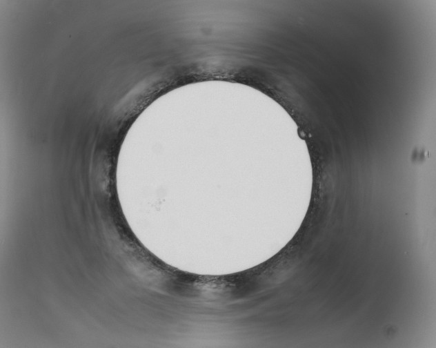 X0000111780693200909031133