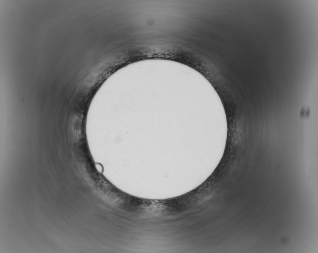 X0000111780695200909031133