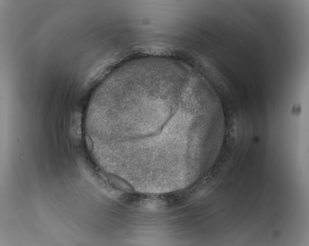 X0000111780696200909031133