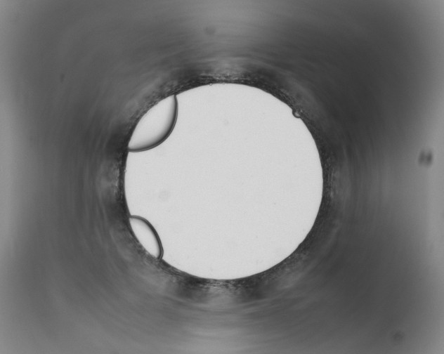 X0000111780697200909031133