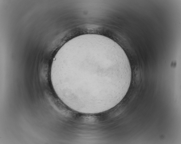 X0000111780698200909031133