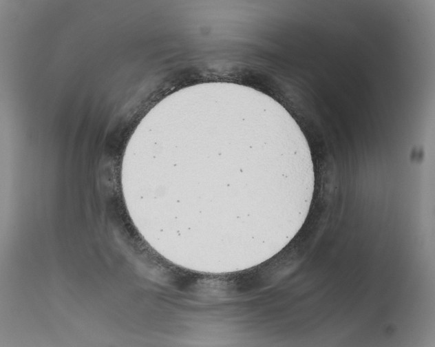 X0000111780699200909031133