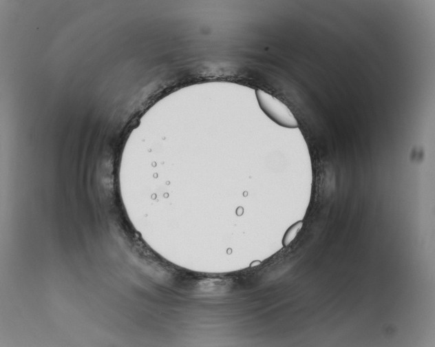 X0000111780700200909031133