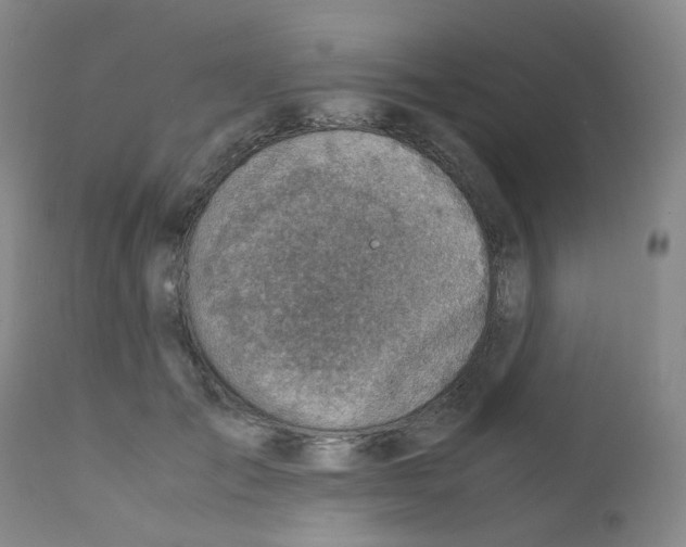 X0000111780701200909031133