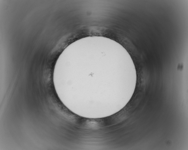 X0000111780706200909031133