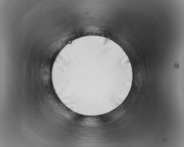 X0000111780708200909031133