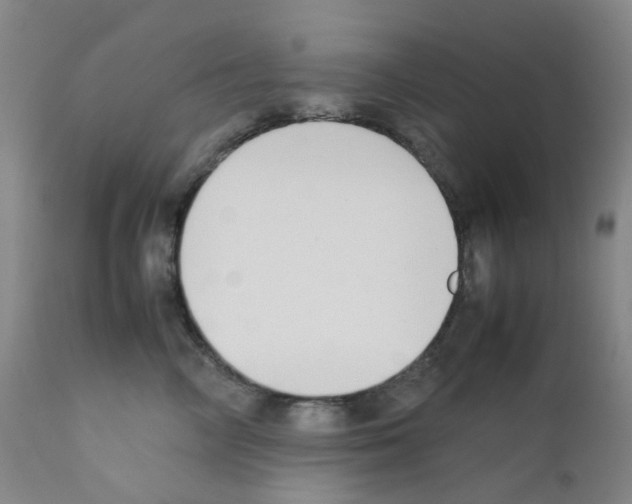 X0000111780714200909031133