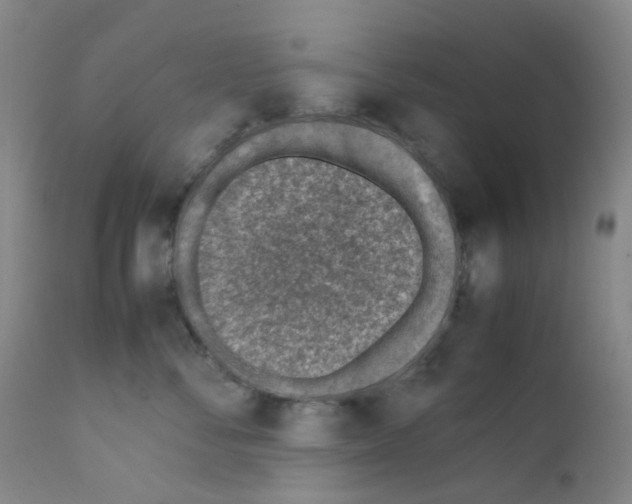 X0000111780716200909031133