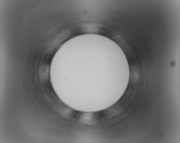 X0000111780717200909031133