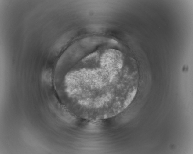 X0000111780720200909031133