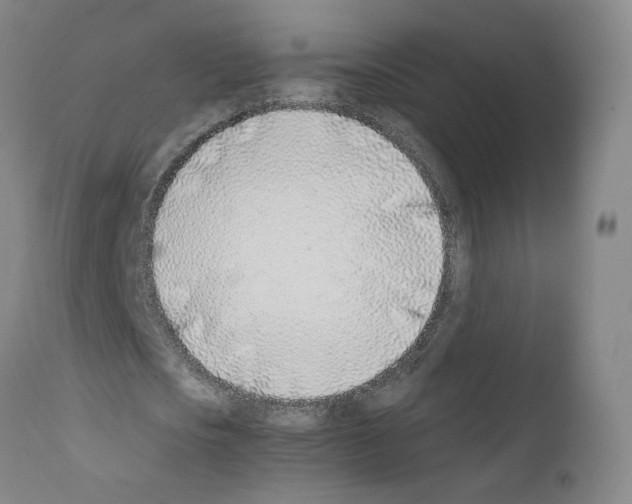 X0000111780721200909031132
