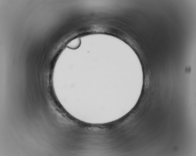 X0000111780722200909031132