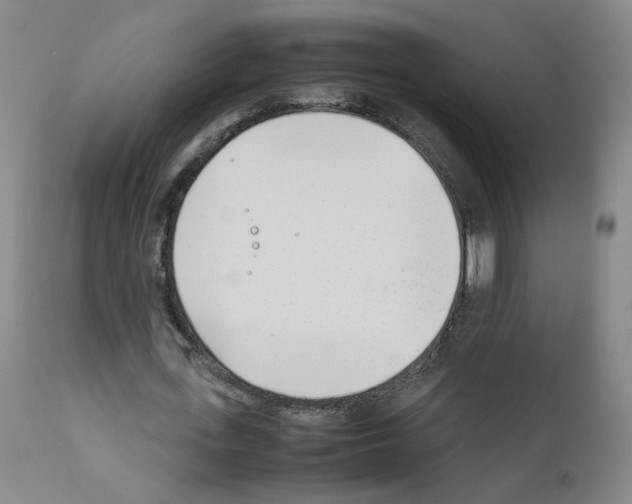 X0000111780723200909031132
