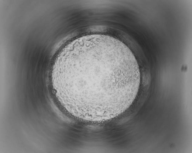X0000111780725200909031132
