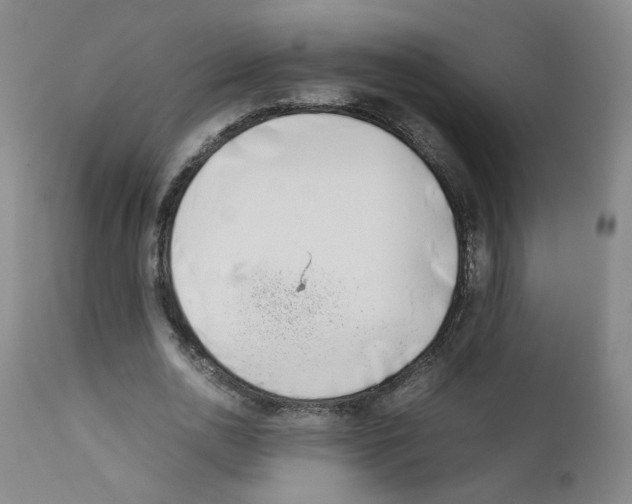 X0000111780726200909031132