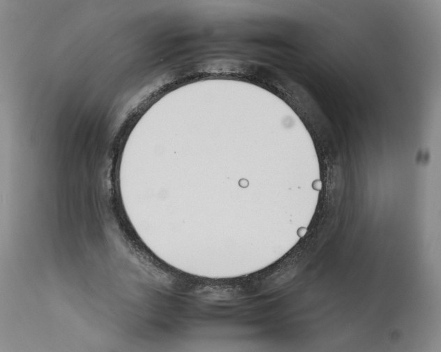 X0000111780727200909031132