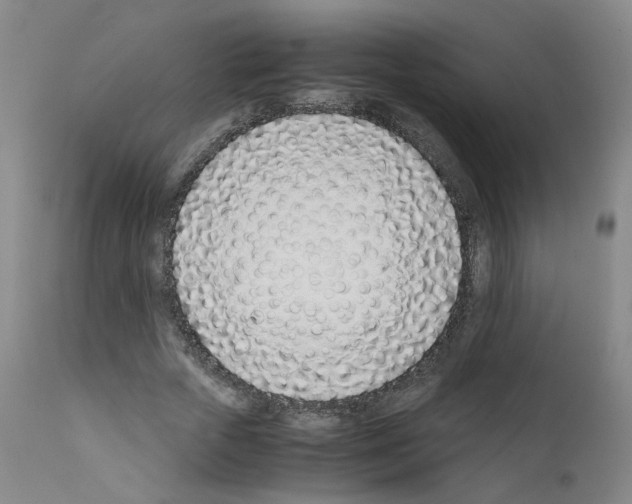 X0000111780729200909031132