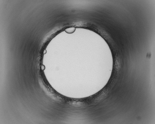 X0000111780730200909031132