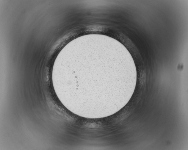 X0000111780731200909031132