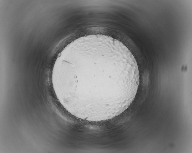 X0000111780733200909031132