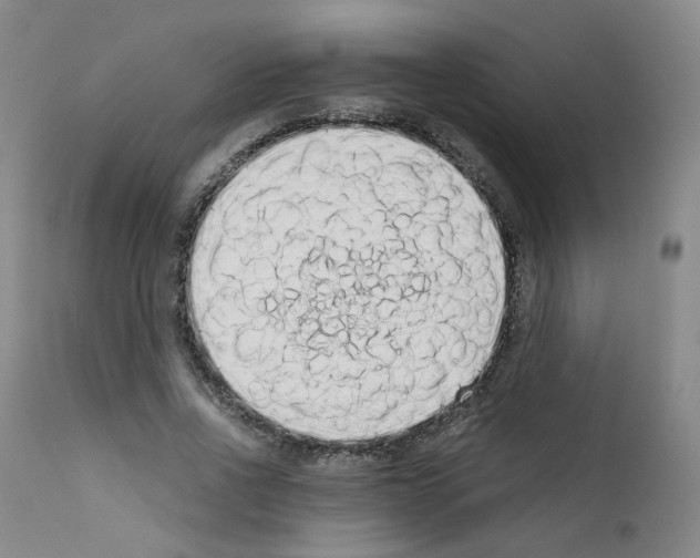 X0000111780734200909031132