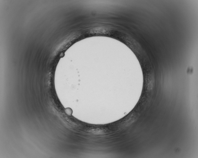 X0000111780735200909031132