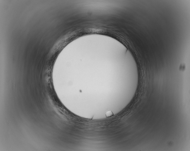 X0000111780736200909031132