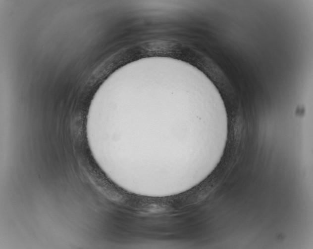 X0000111780737200909031132