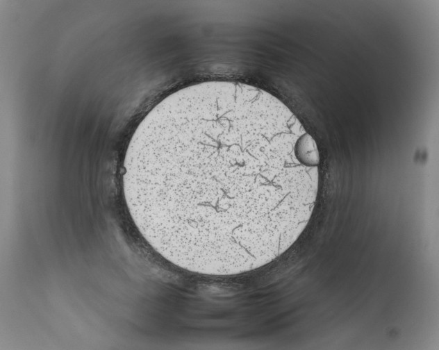 X0000111780739200909031132