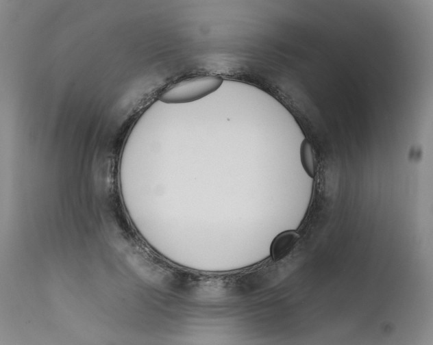 X0000111780740200909031132