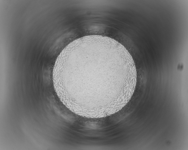 X0000111780745200909031133
