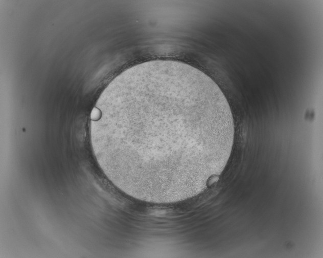 X0000111780746200909031133