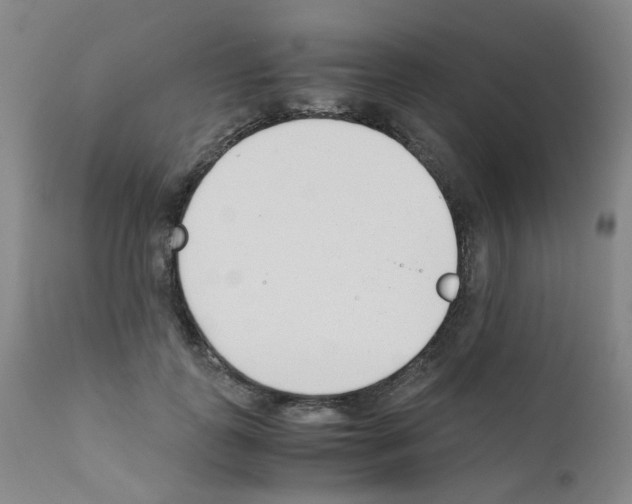 X0000111780747200909031133