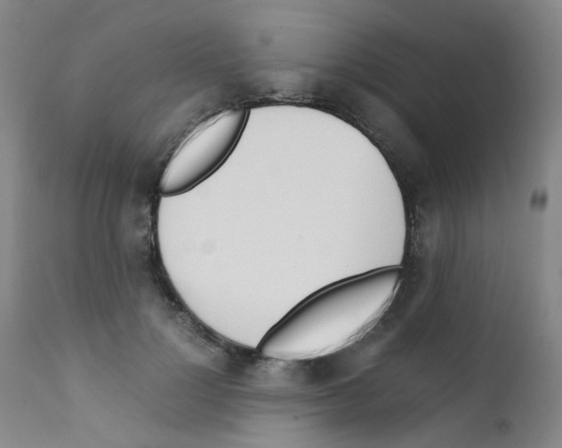 X0000111780748200909031133