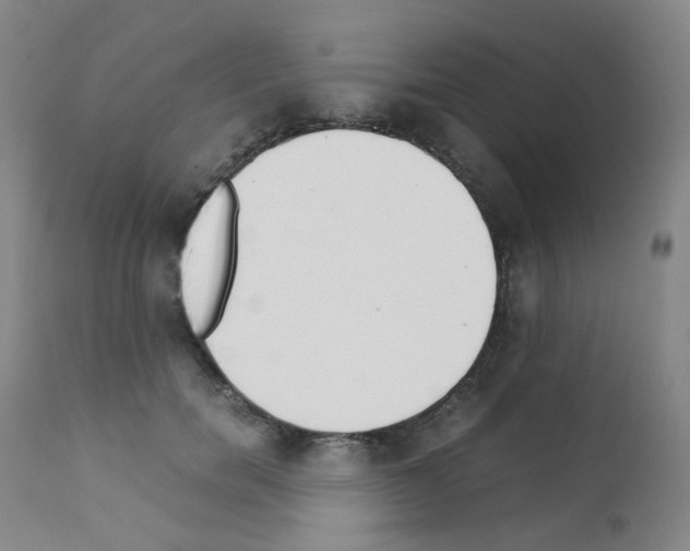 X0000111780750200909031133