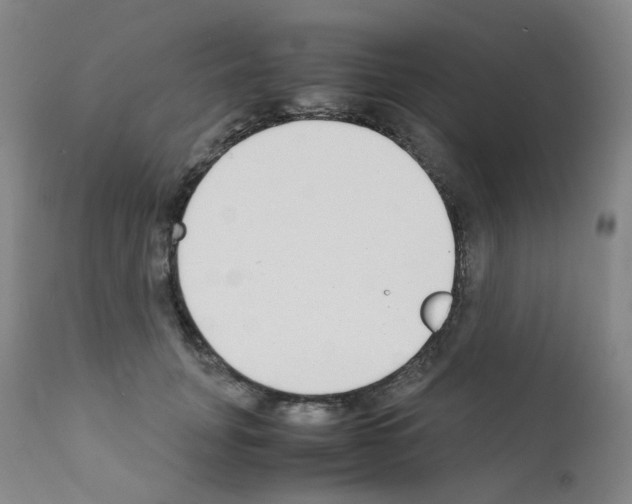 X0000111780751200909031133