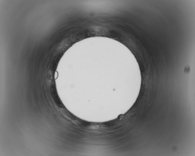 X0000111780752200909031133