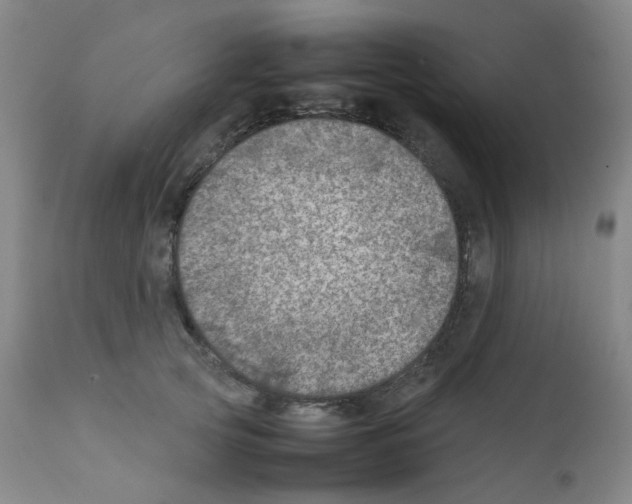 X0000111780753200909031133
