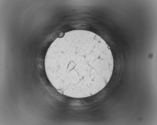 X0000111780755200909031133