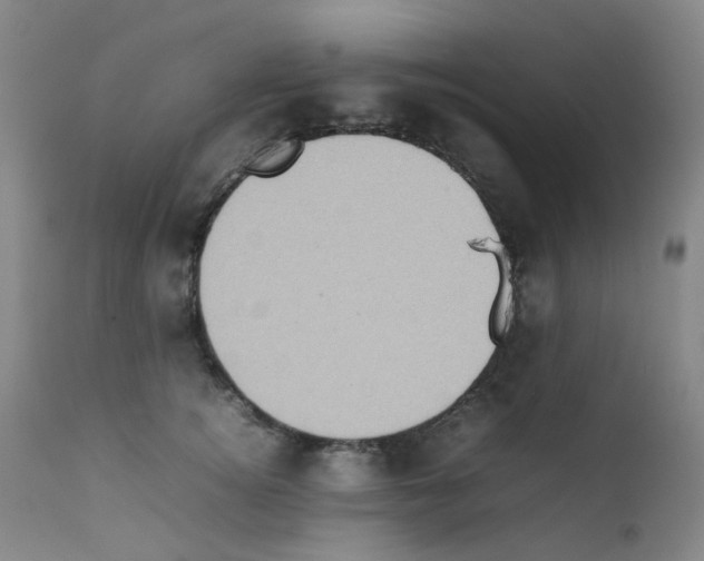 X0000111780756200909031133