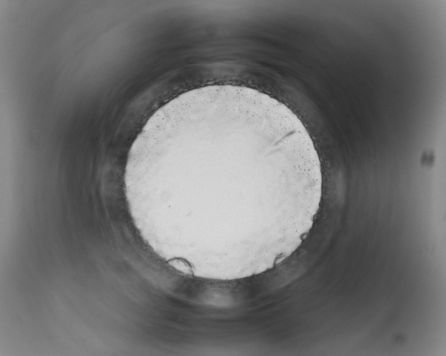 X0000111780757200909031133