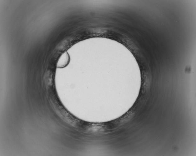 X0000111780758200909031133