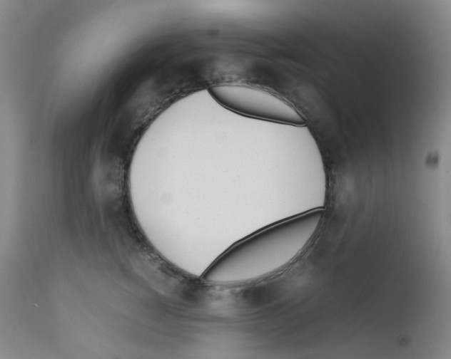 X0000111780760200909031133