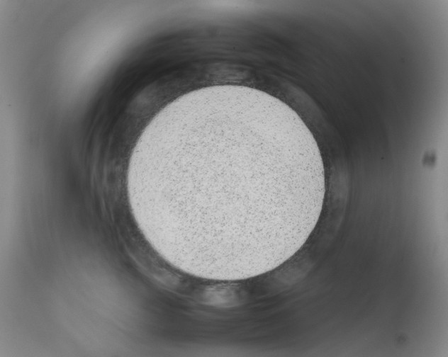 X0000111780761200909031133