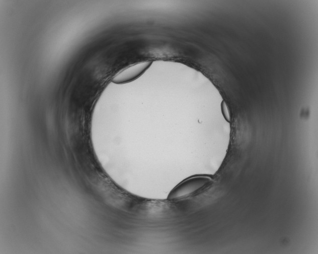 X0000111780762200909031133
