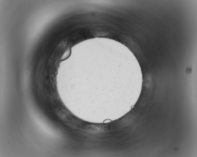 X0000111780763200909031133
